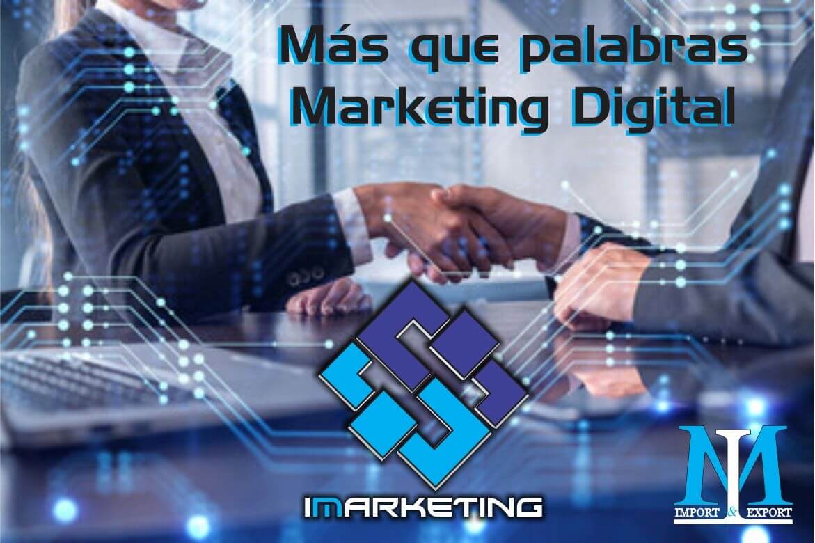 Portfolio flyer - IM IMPORT & EXPORT